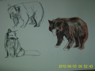 20100603-4.JPG