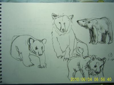 20100604-1.jpg