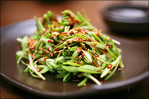 돌나물.jpg
