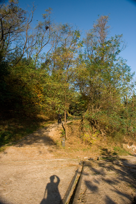 DSC_0003.jpg