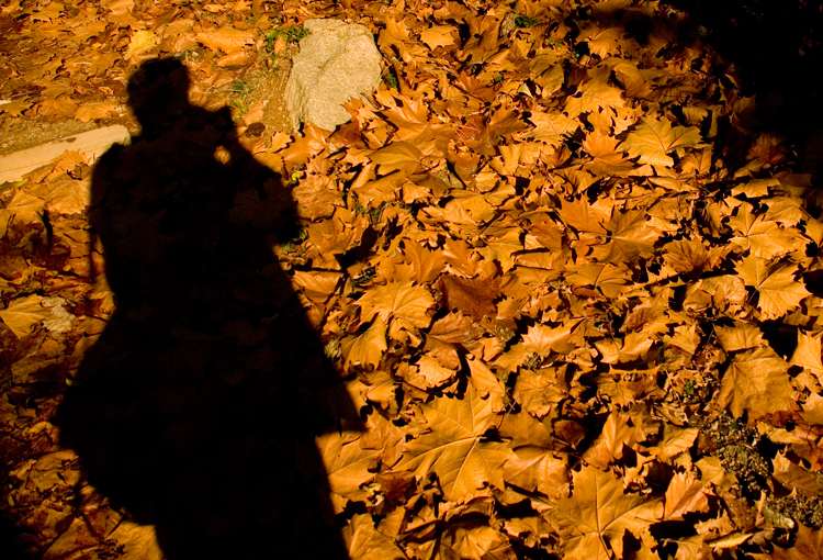 DSC_0009_2.jpg