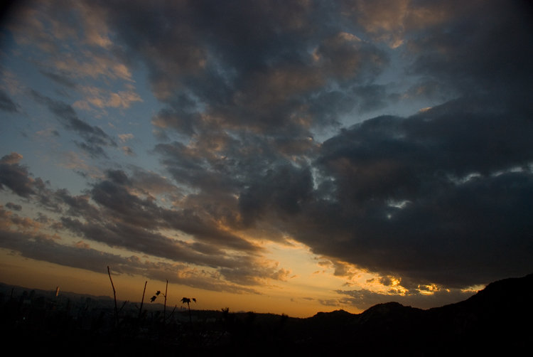 DSC_0138.jpg