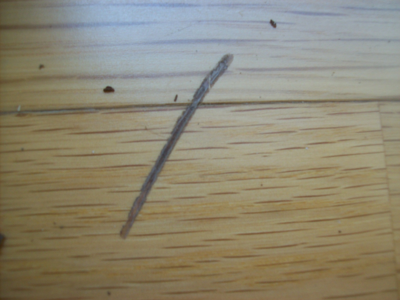 100_2925.JPG 100_2925.JPG