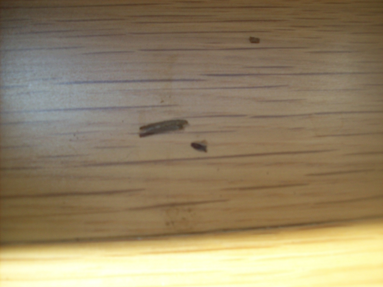 100_2927.JPG 100_2927.JPG