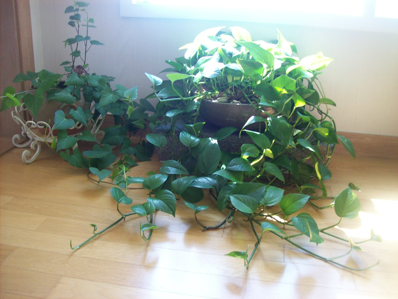 100_2931.JPG 100_2931.JPG