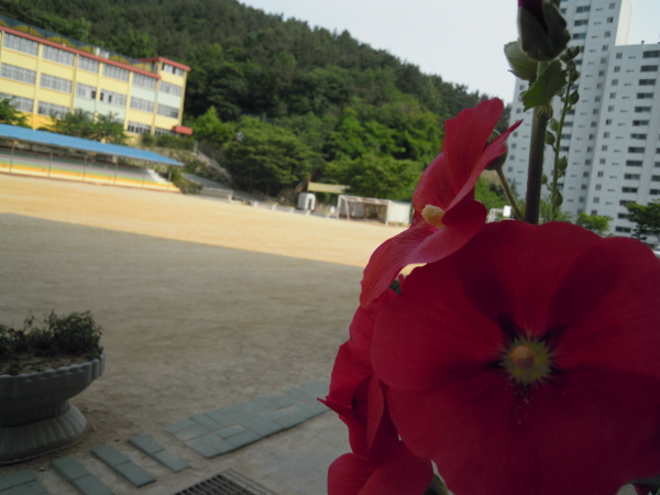 크기변환_042.JPG