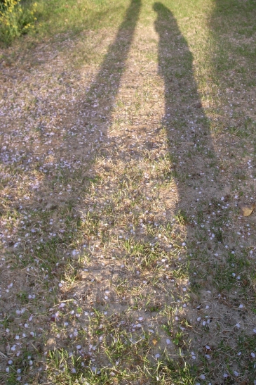 500416.JPG
