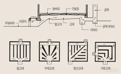 개자리.jpg