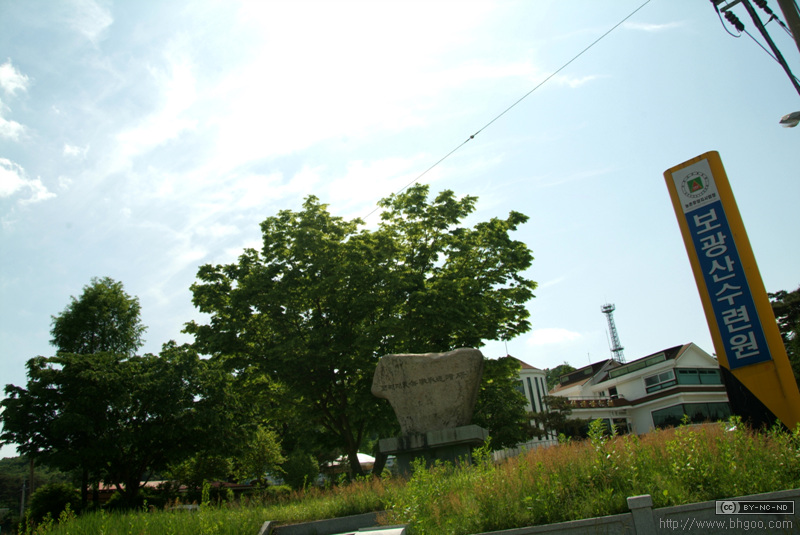 DSCF3386.jpg DSCF3386.jpg