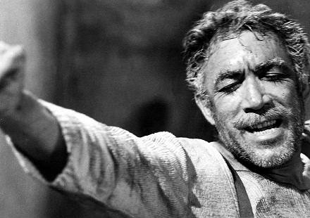 quinn-zorba_opt1.jpg