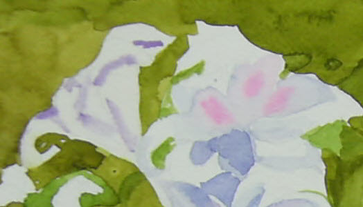 20081016-7.JPG