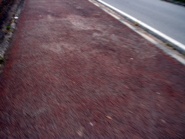 P9170420.JPG
