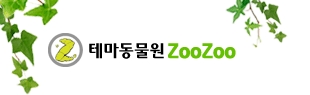 zoozoo1.jpg