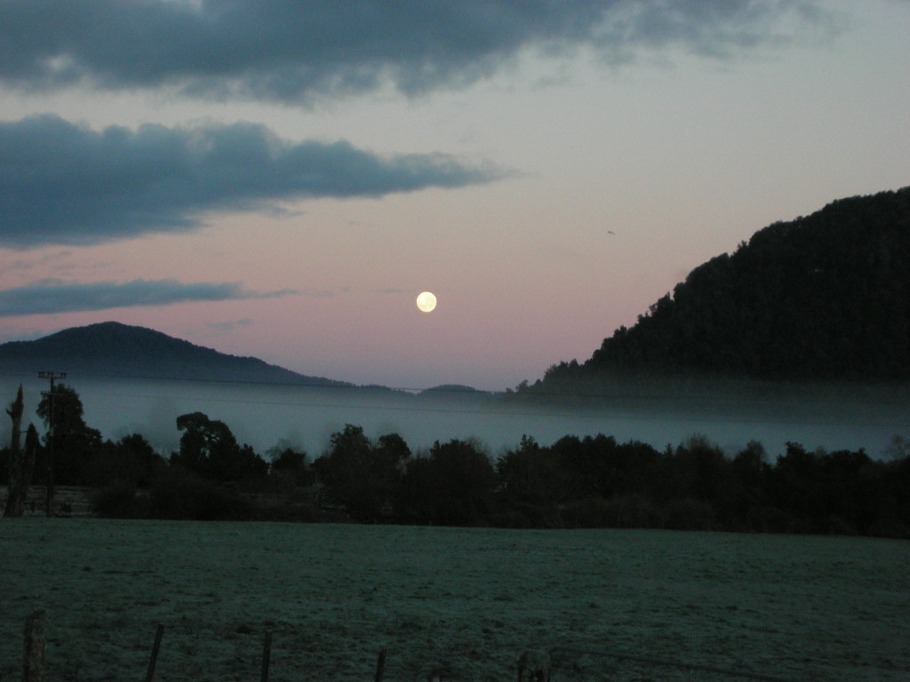 DSCN9769.JPG