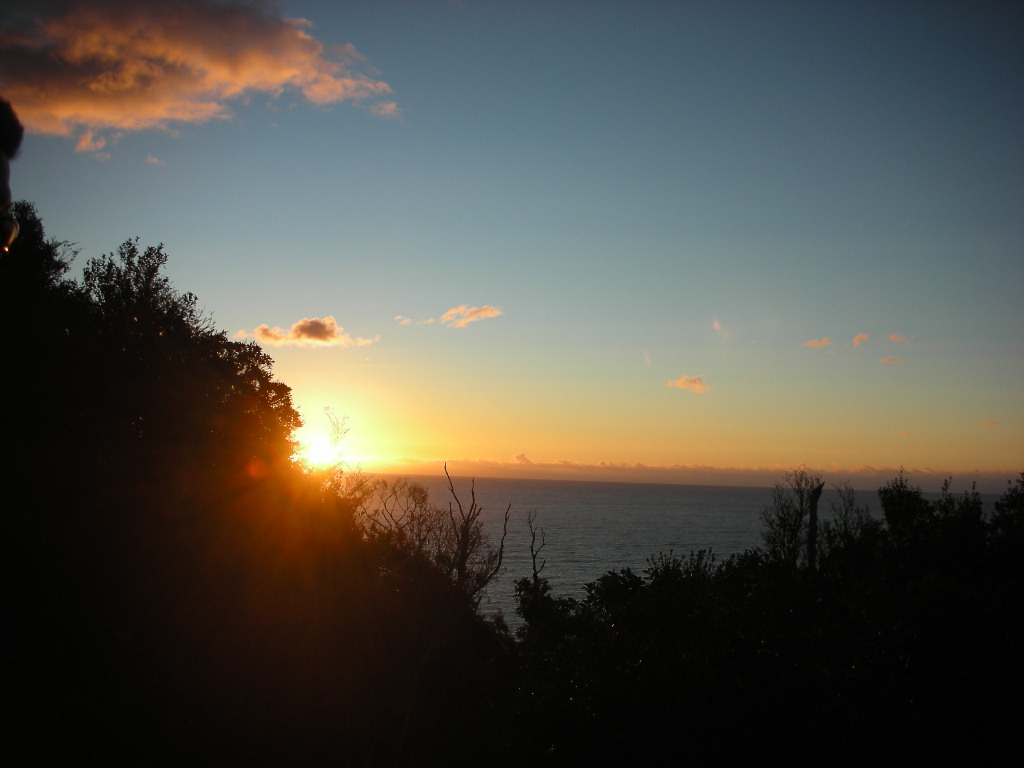 DSCN9851.JPG