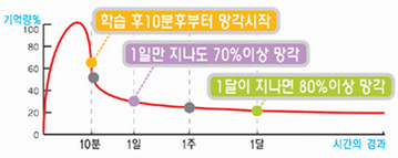 망각곡선5.jpg