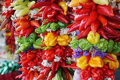 Colorful.jpg
