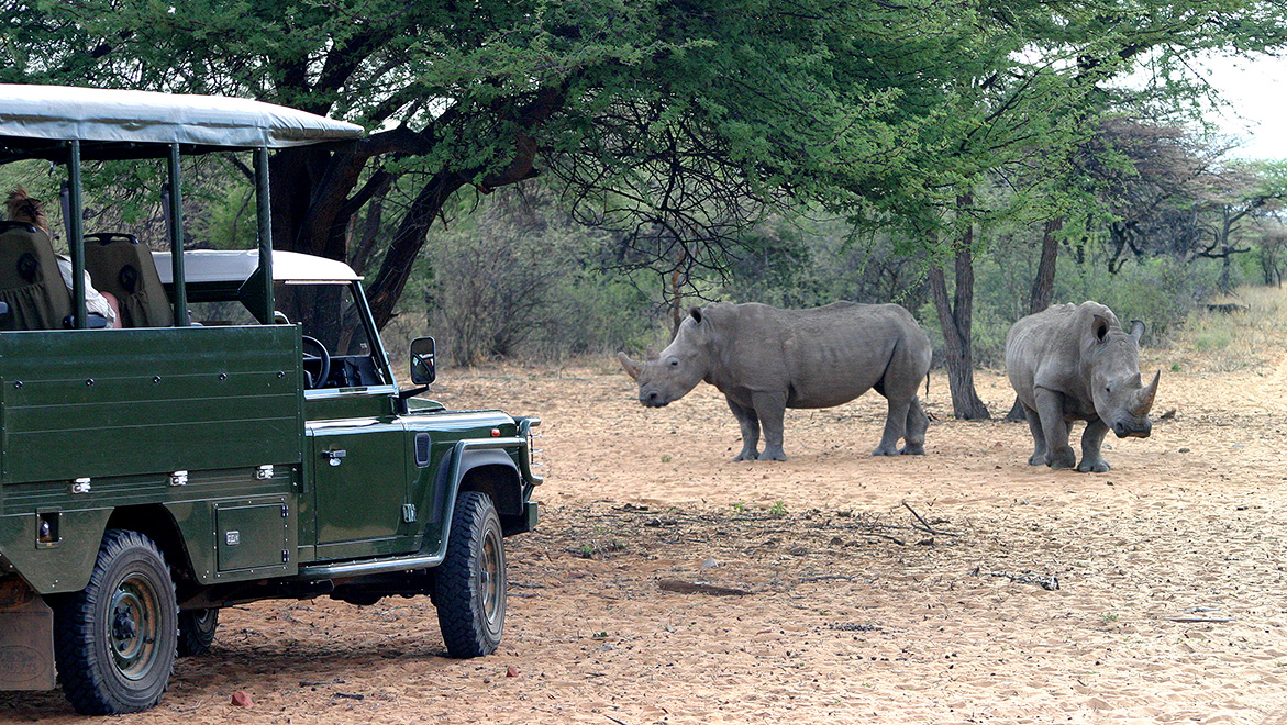 waterberg-wilderness-activities-rhino-drive-01.jpg