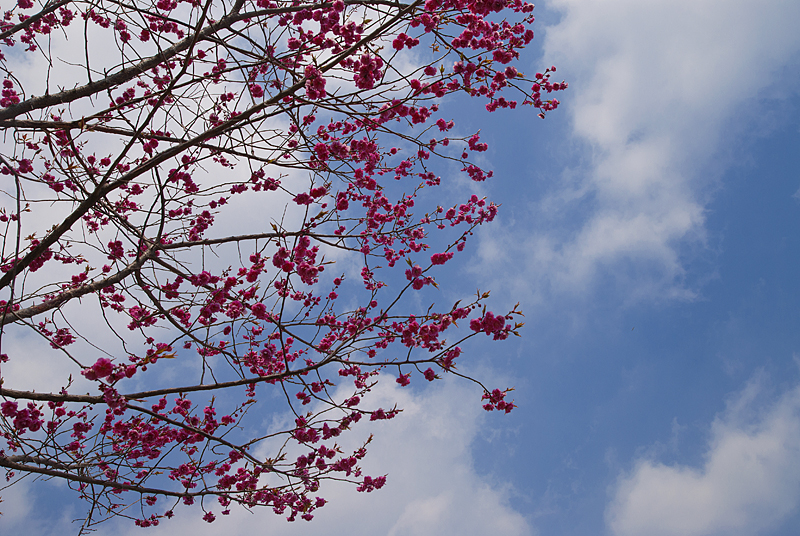 DSC_0189.jpg
