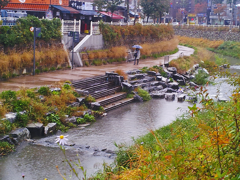 20121027_130812_2.jpg