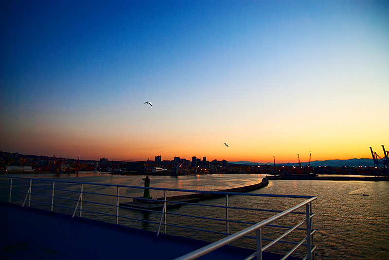 DSC_0331.jpg