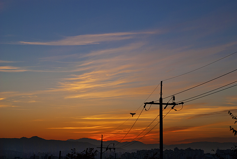 DSC_0066.jpg