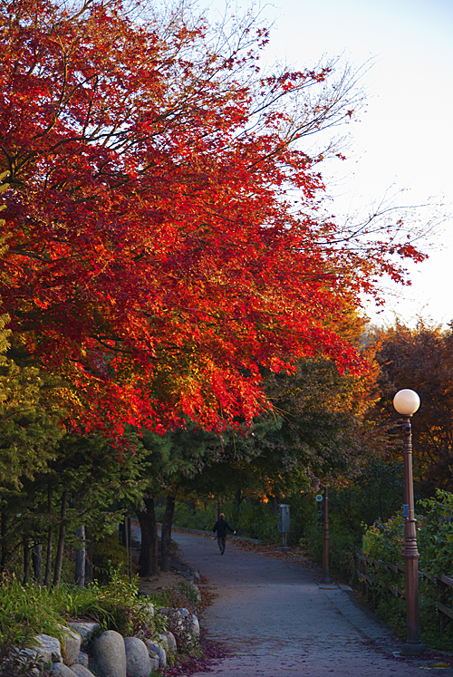 DSC_0109.jpg