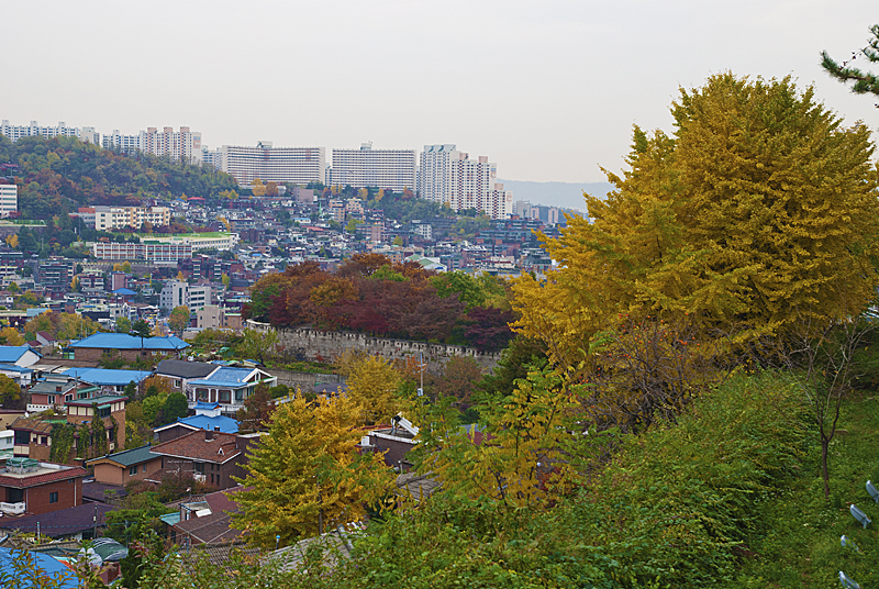 DSC_0050.jpg