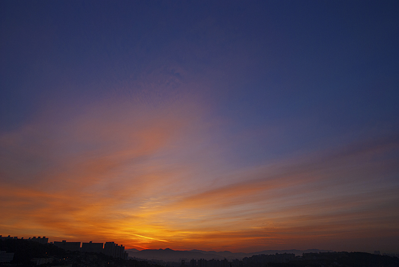 DSC_0035.jpg