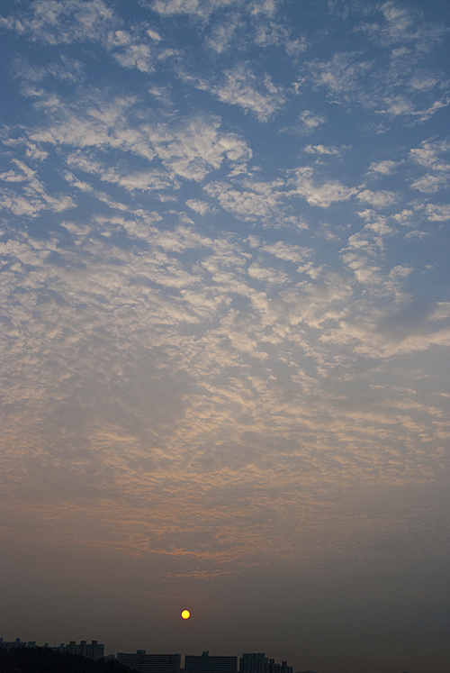 DSC_0004.jpg