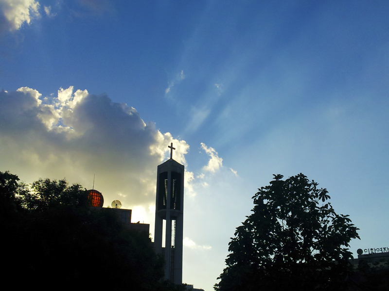 web_20120919_172431.jpg