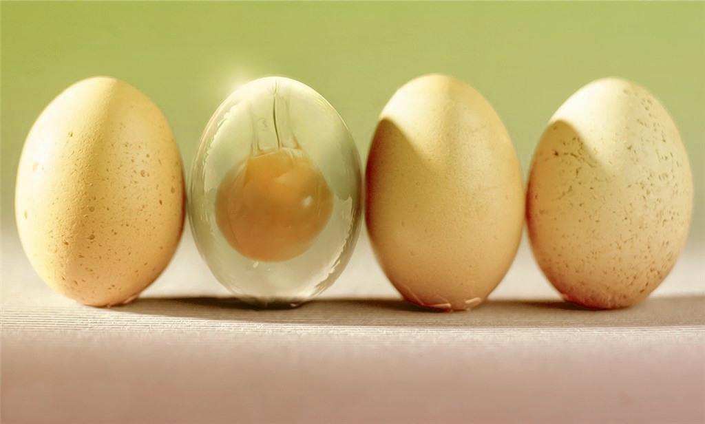 속보여주기-계란 .jpg