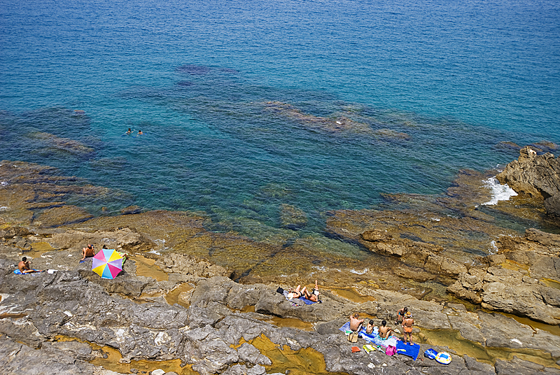 DSC_0463.jpg