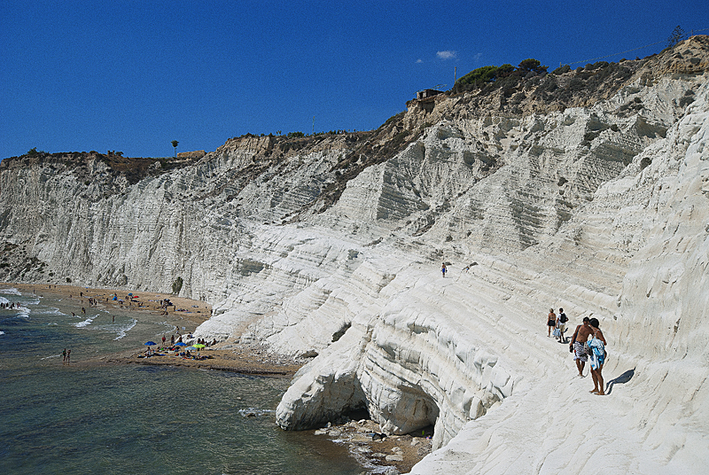 DSC_0503.jpg