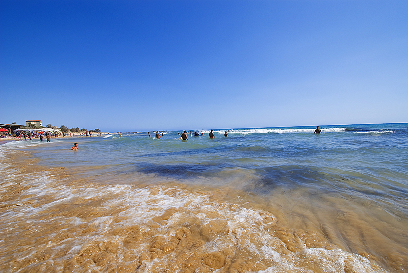 DSC_0479.jpg