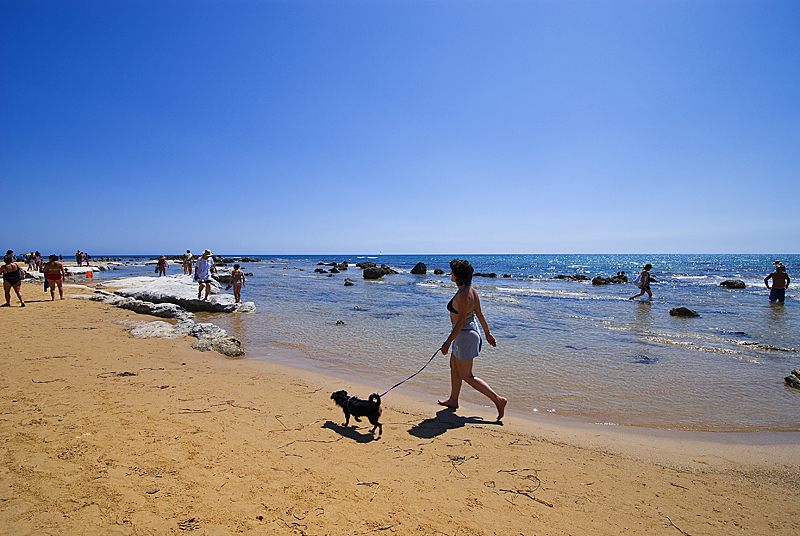 DSC_0457.jpg