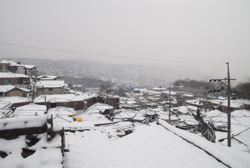 DSC_0035.jpg