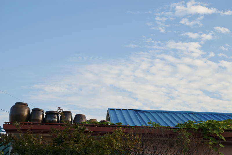 DSC_0001.jpg