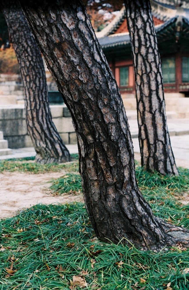 빼기9_5.jpg
