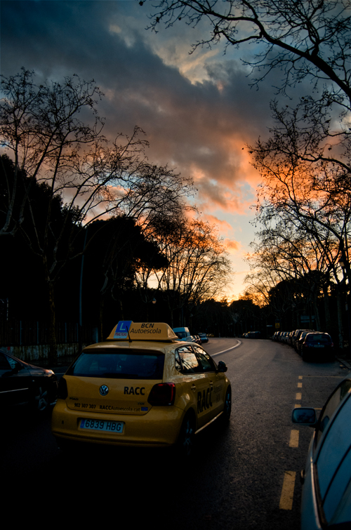 IMGP1537.jpg