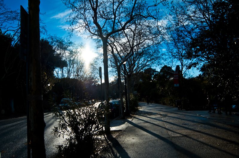 IMGP1462.jpg