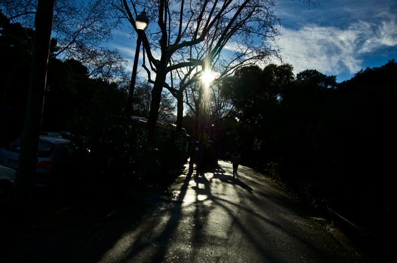 IMGP1466.jpg
