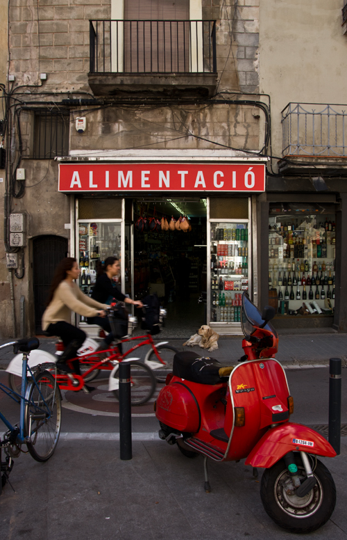 IMGP8527-2.jpg