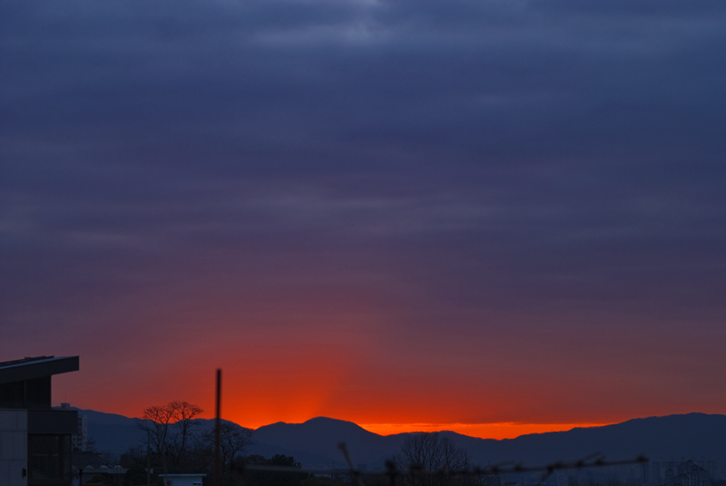 DSC_0047.jpg