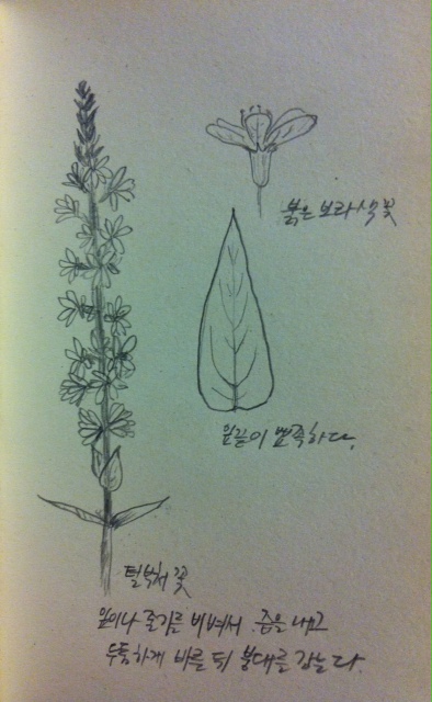 20130912-1.jpg