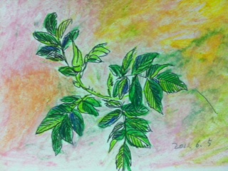 20110607-1-사진.JPG