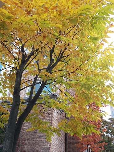 20121021_162032[1].jpg